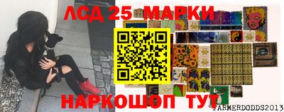 mix Сланцы